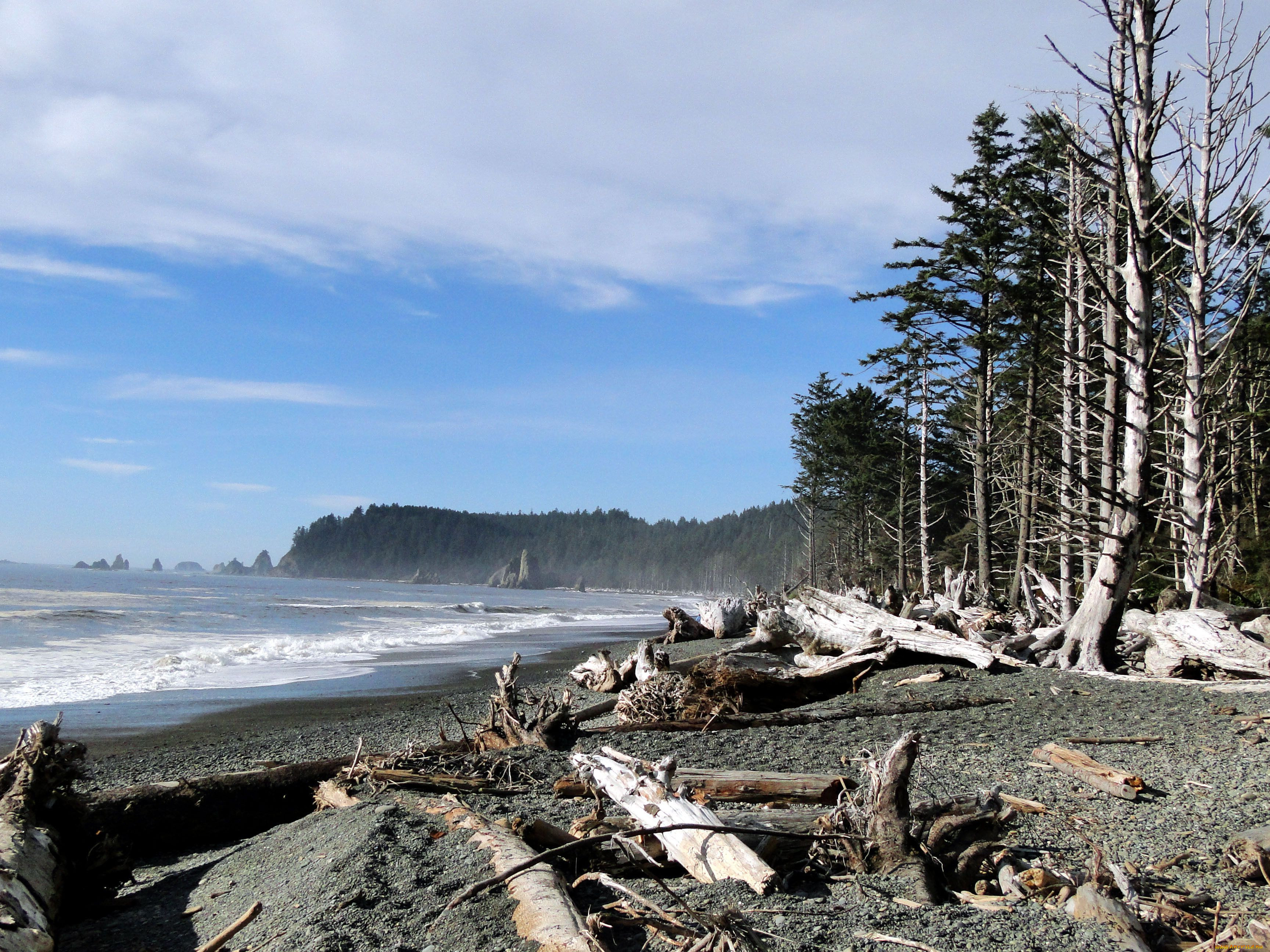 olympic, national, park, , , 